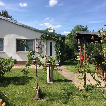 Ferienhaus An Der Selke Meisdorf Exteriör bild