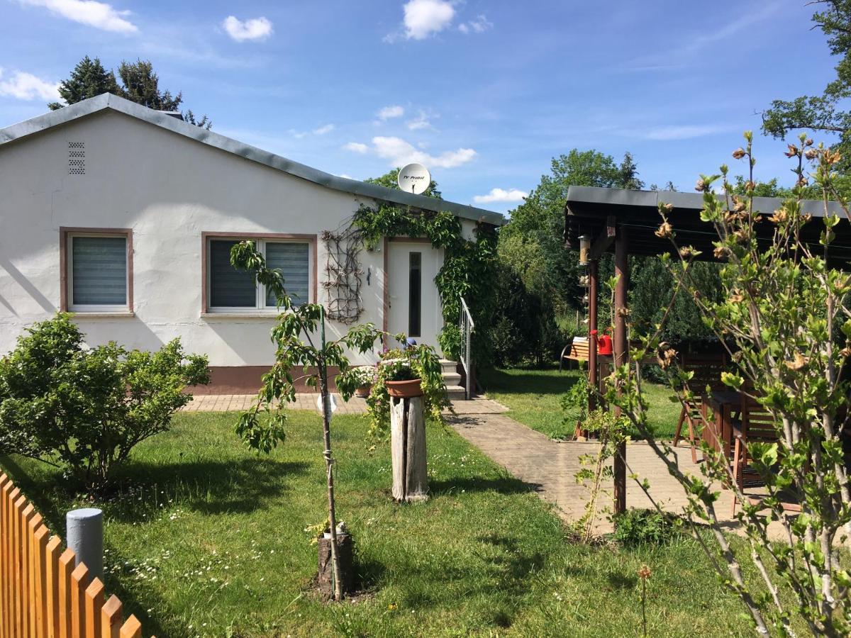 Ferienhaus An Der Selke Meisdorf Exteriör bild