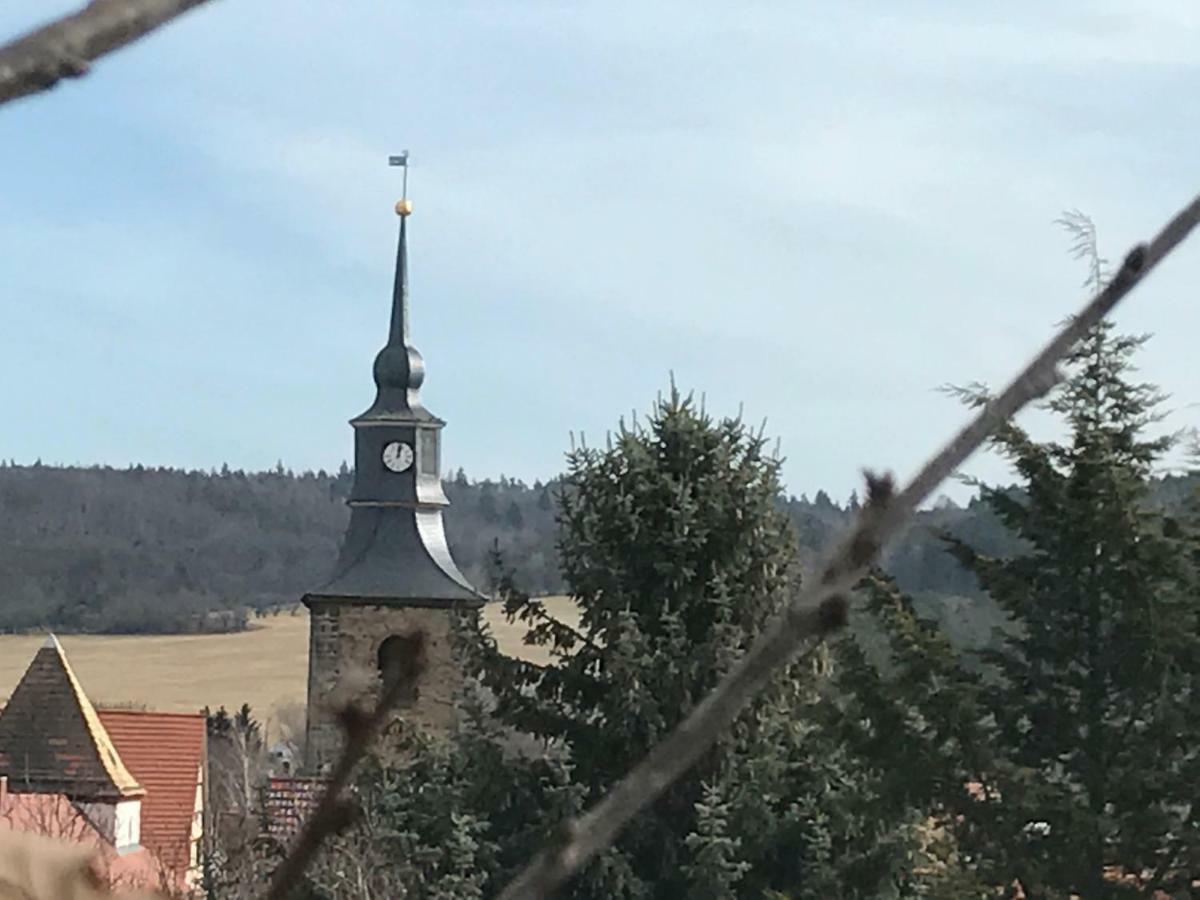 Ferienhaus An Der Selke Meisdorf Exteriör bild